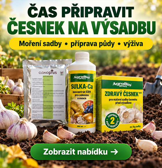 Inpest_moreni_cesneku_zari