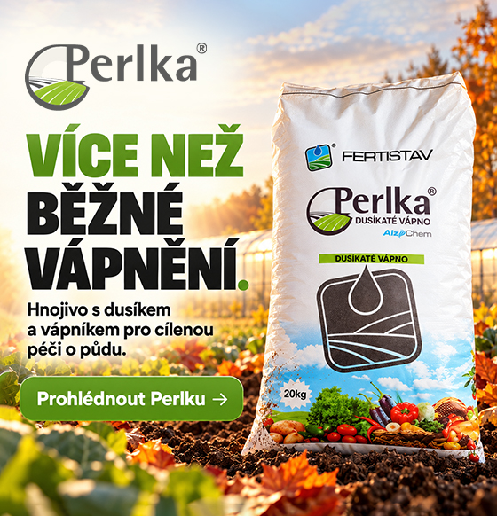 inpest_Perlka2_rijen