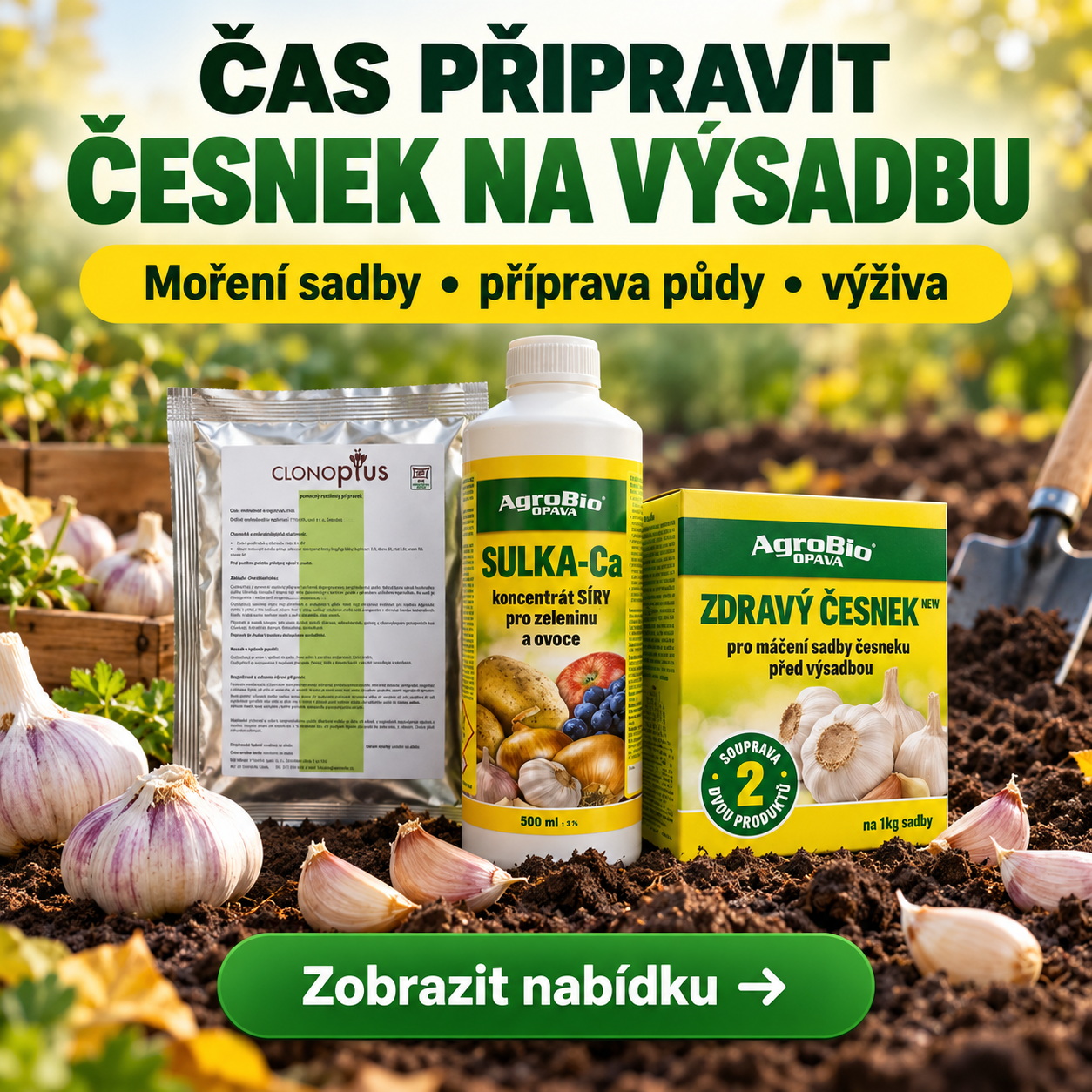 Přípravky pro moření česneku a přípravu sadby
