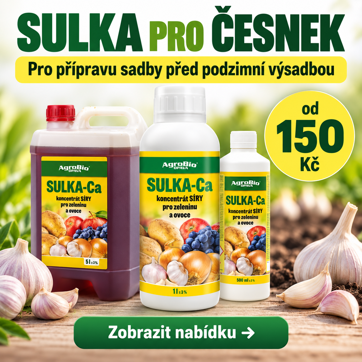 Nabídka Sulka Ca pro přípravu sadby česneku