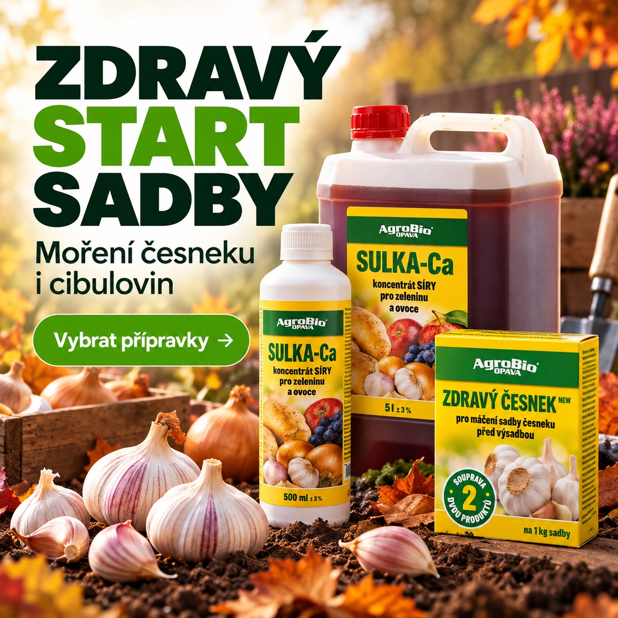 Nabídka přípravků pro zdravý start česnekové sadby
