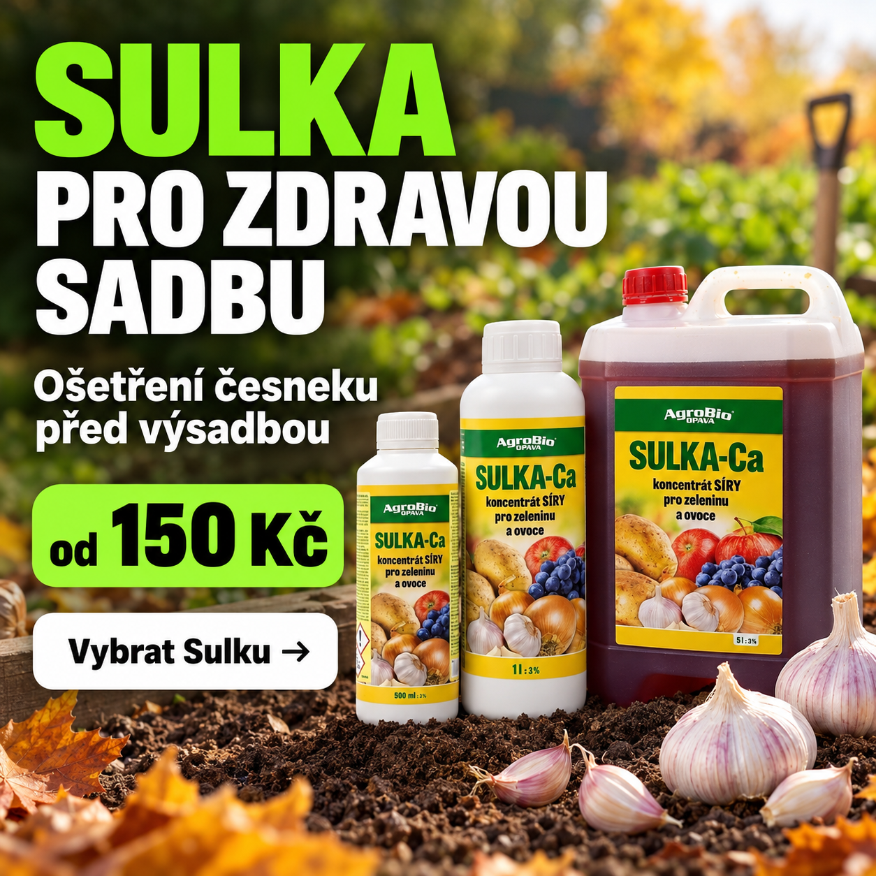 Sulka Ca pro zdravou sadbu česneku