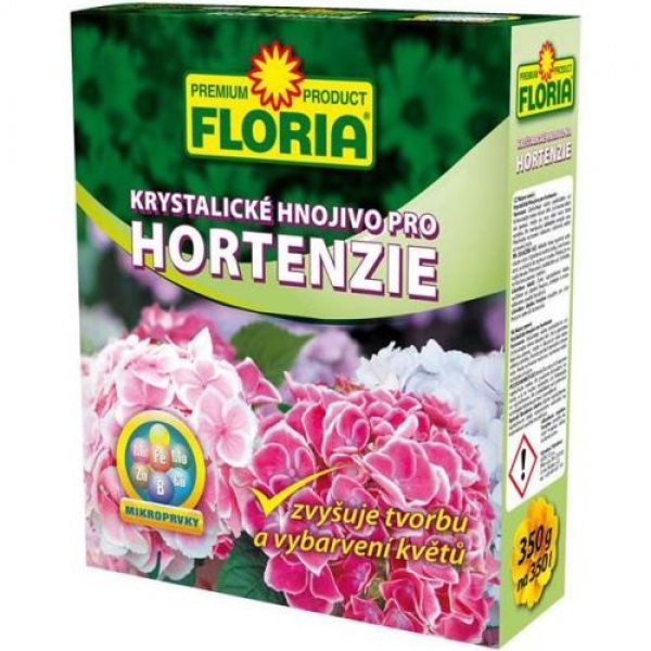 Floria hortenzie