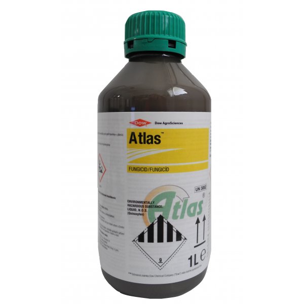 Atlas S