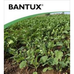 Bantux 5l